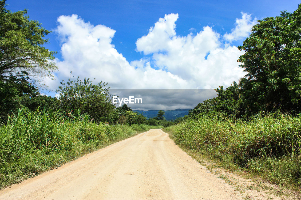 Dirt road along trees and landscape against sky