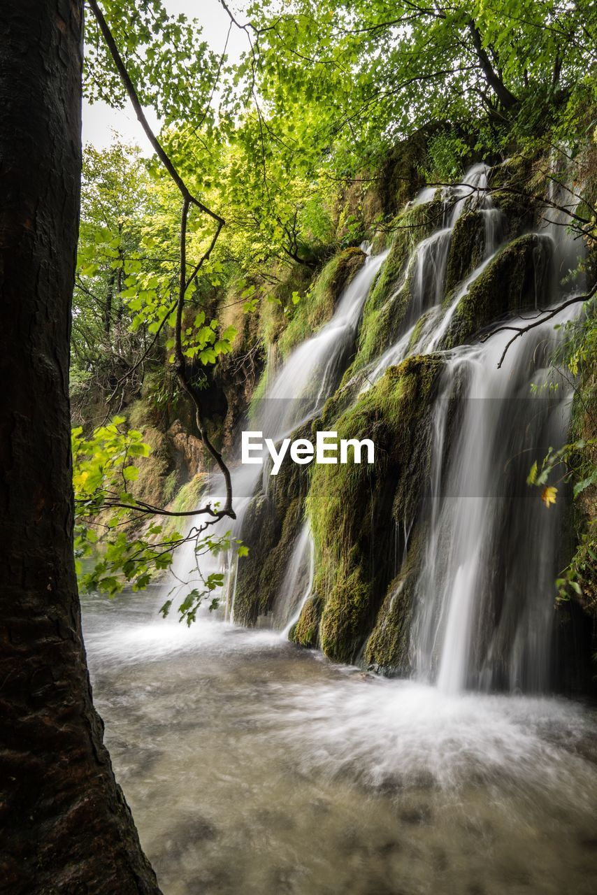 WATERFALL IN A FOREST