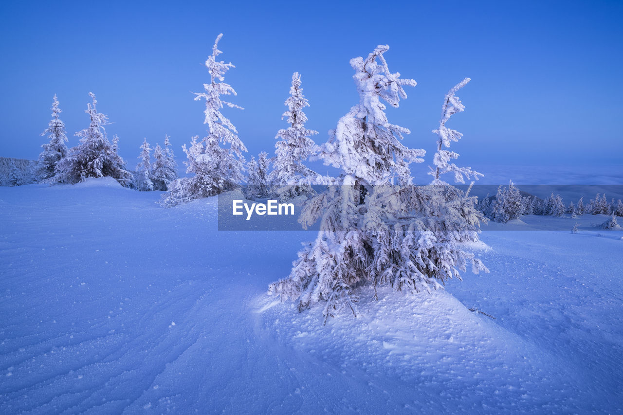 Scenic view of snow covered land against blue sky