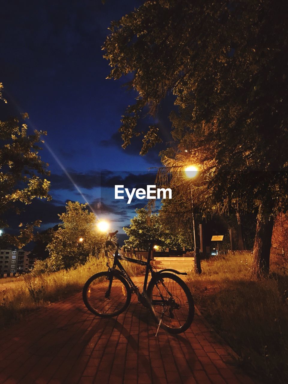 BICYCLE ON STREET LIGHT