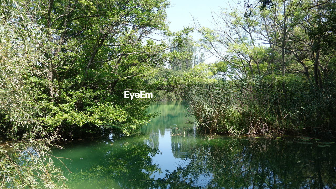 SCENIC VIEW OF RIVER