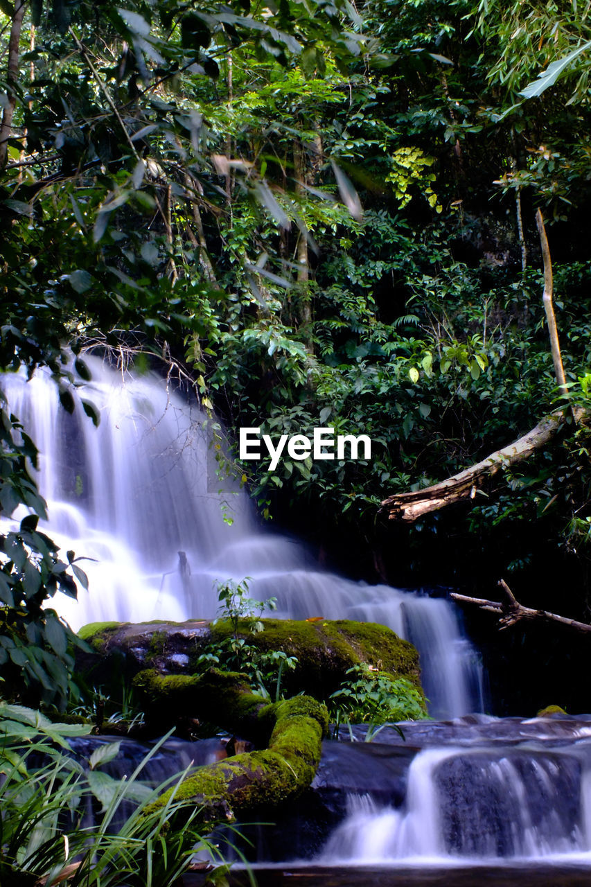 IDYLLIC VIEW OF WATERFALL IN FOREST