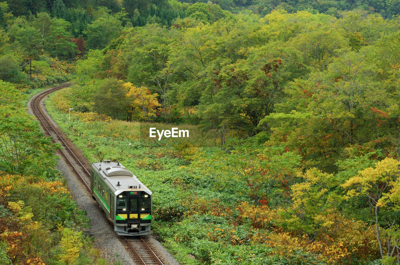Semi autumn leaves and local train