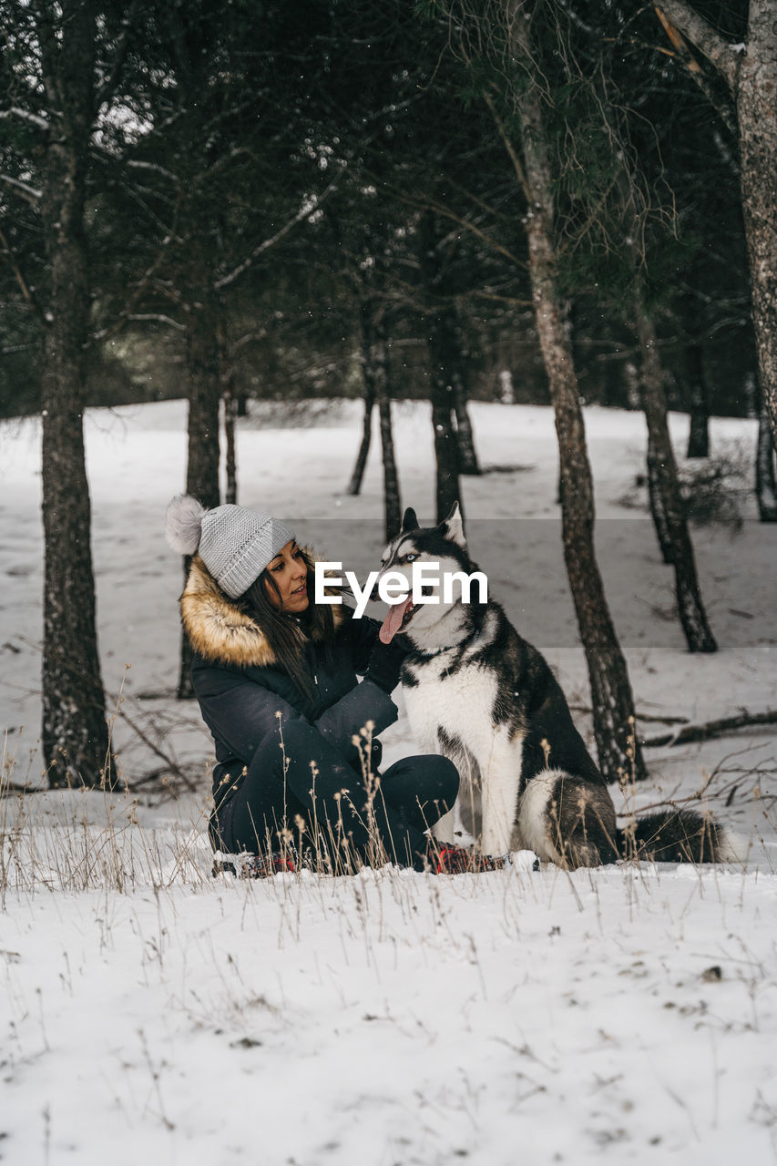Young ethnic lady wearing outerwear hugging cute husky dog while crouching in snowy woods near green spruces in winter day