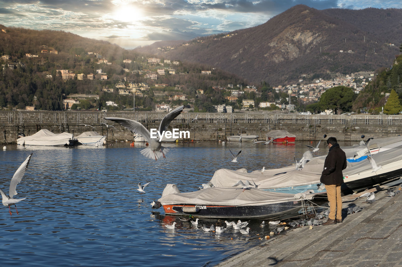 Man looking at seagulls standing by sea