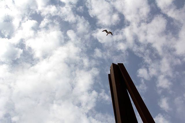 LOW ANGLE VIEW OF CLOUDY SKY