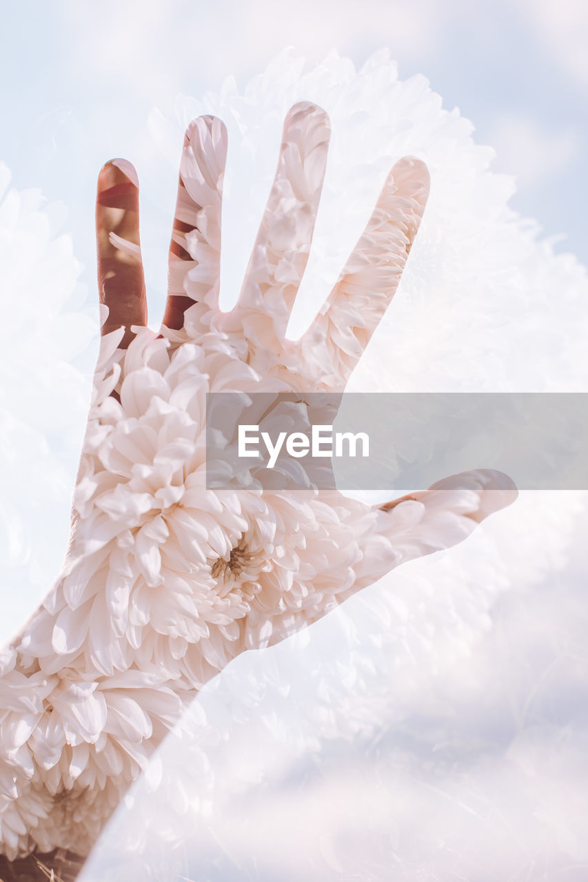 Digital composite image of hand with flower against sky