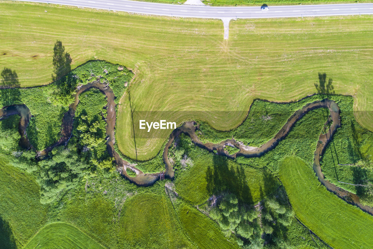 HIGH ANGLE VIEW OF RICE PADDY