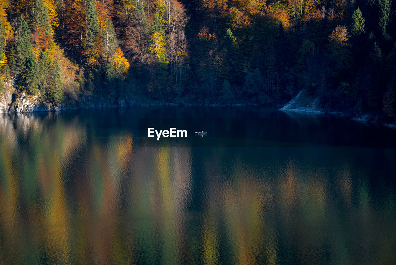 Scenic view of lake in forest during autumn