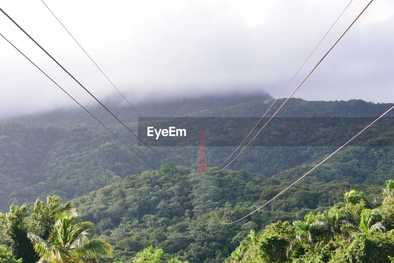 SCENIC VIEW OF TREE MOUNTAINS AGAINST SKY