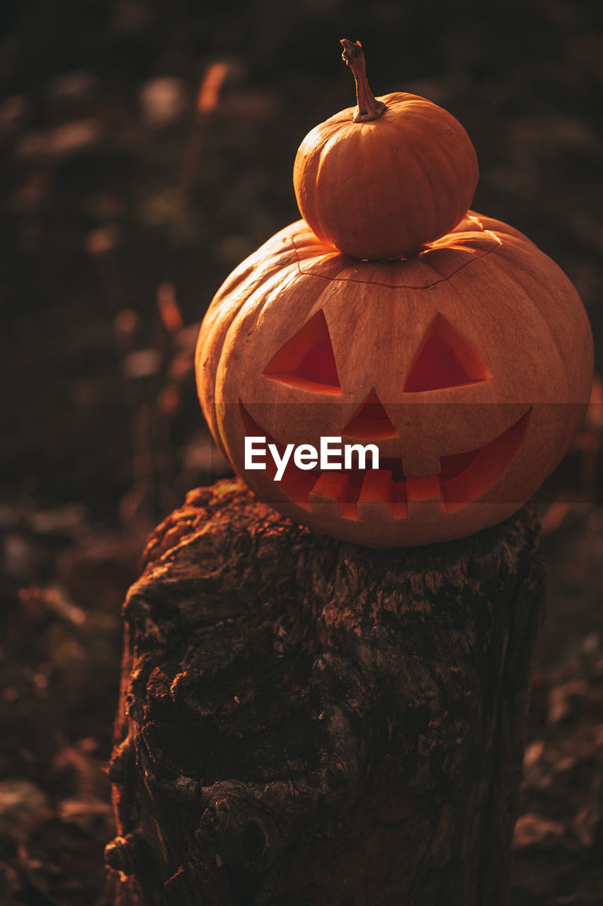 Close-up of jack o lantern