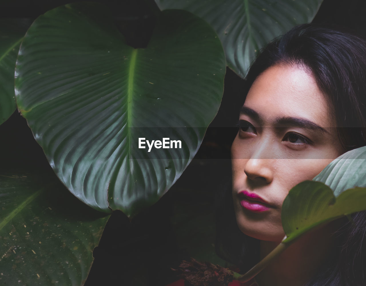 Selective light and shadow asian woman posing photo under foliage in forest against faded background