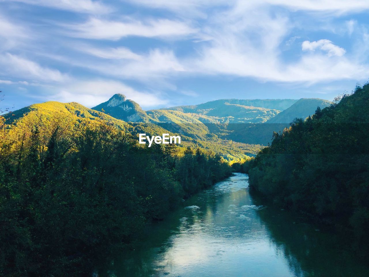 Scenic view of river amidst trees against sky