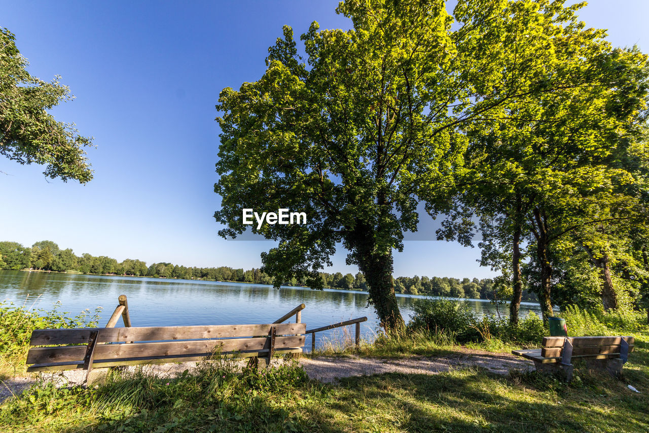 Trees at lakeshore against clear sky