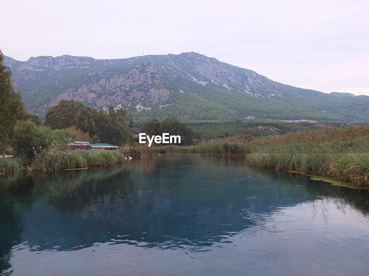 SCENIC VIEW OF LAKE BY TREES AGAINST SKY