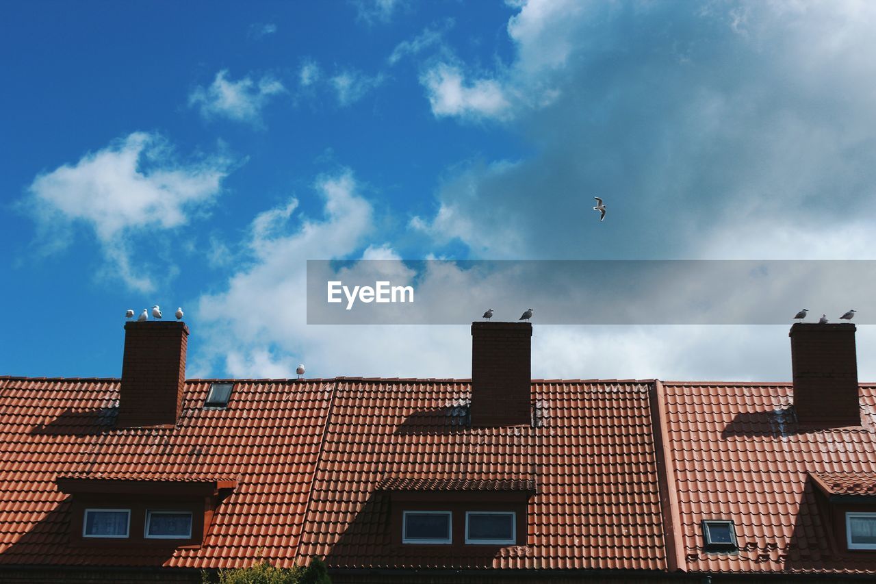 Low angle view of seagulls perching on chimneys against cloudy sky