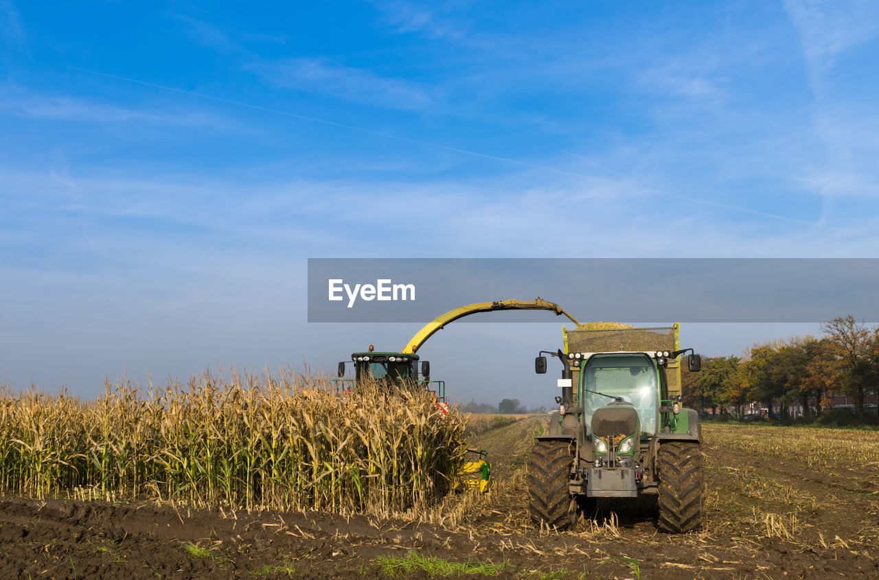 Combine and tractor harvesting crop against blue sky