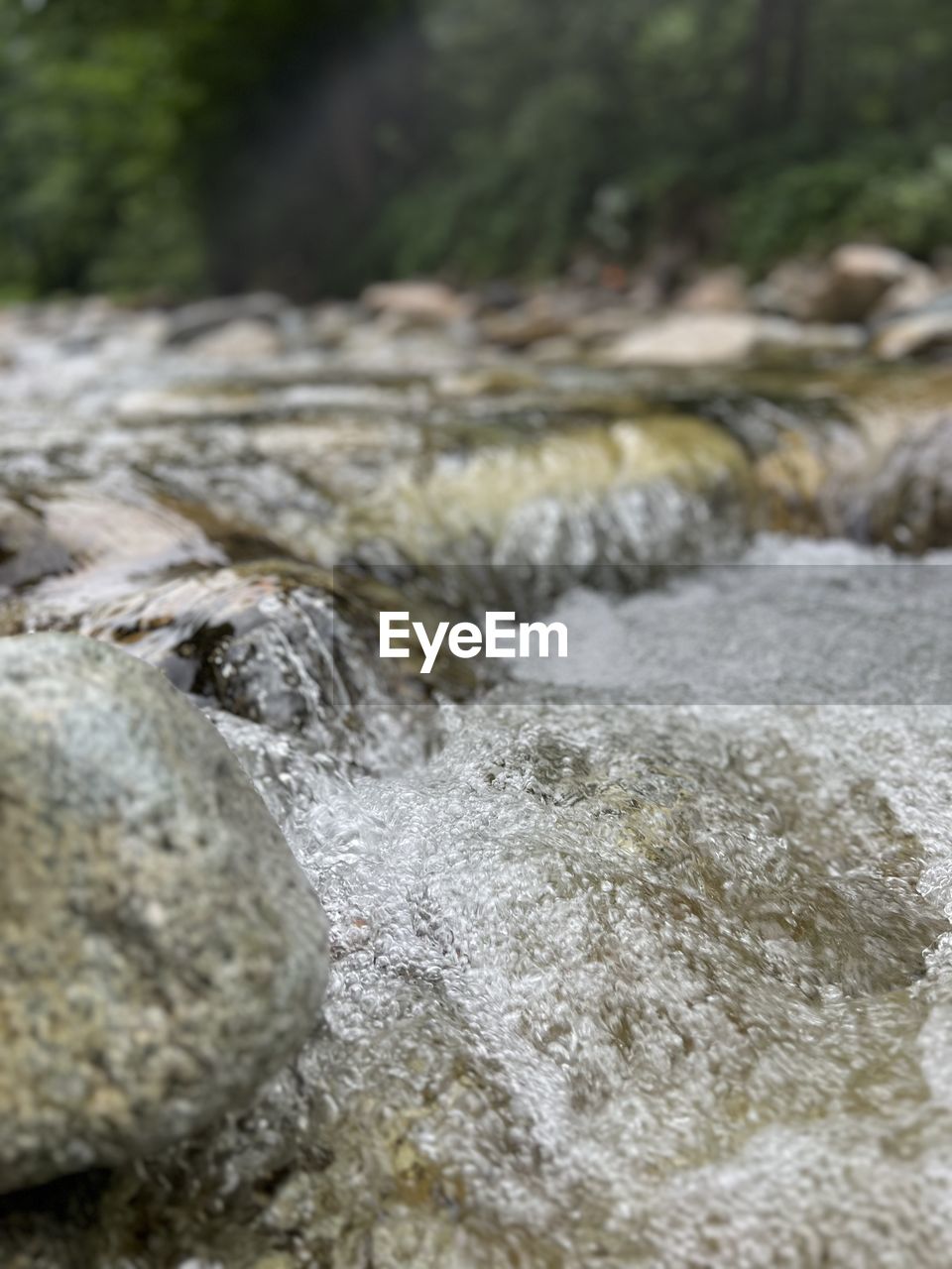 rock, water, nature, stream, river, no people, rapid, day, land, beauty in nature, motion, flowing water, plant, outdoors, focus on foreground, scenics - nature, tree, close-up, environment, forest, selective focus, tranquility, flowing, geology, non-urban scene