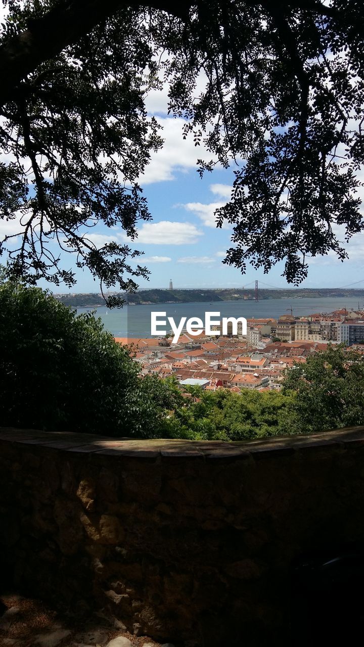 Trees and cityscape against sky