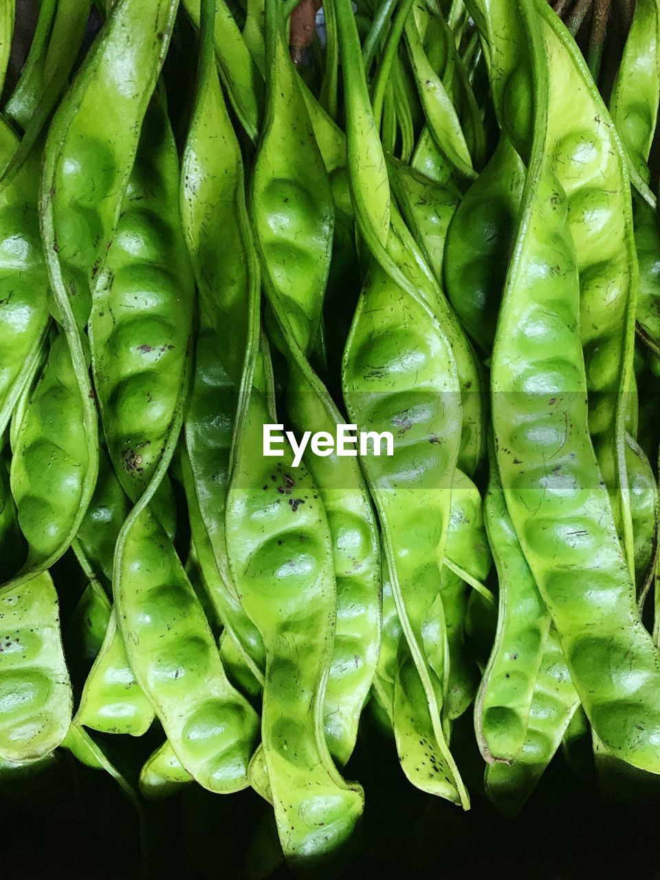 FULL FRAME SHOT OF GREEN CHILI PEPPER