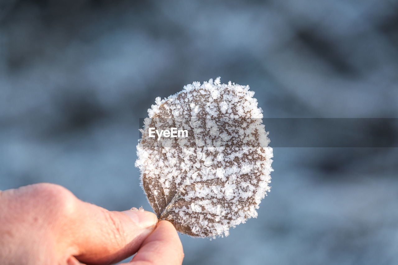 CLOSE-UP OF PERSON HOLDING ICE CREAM CONE