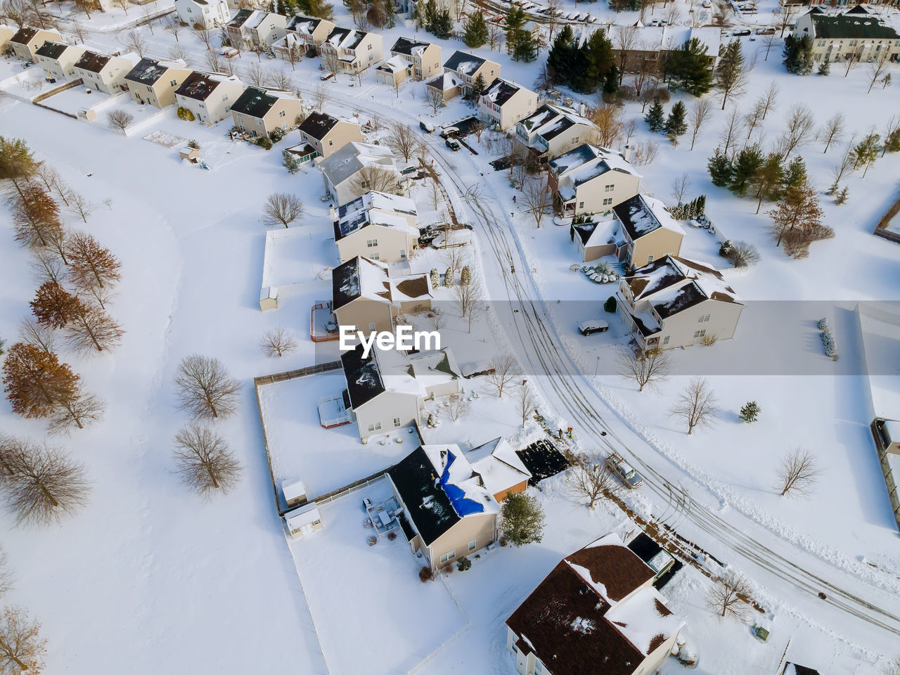 HIGH ANGLE VIEW OF TREES IN CITY DURING WINTER