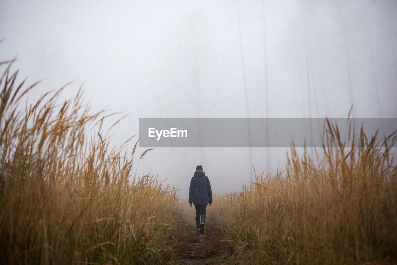 Rear view of woman walking at forest during foggy weather