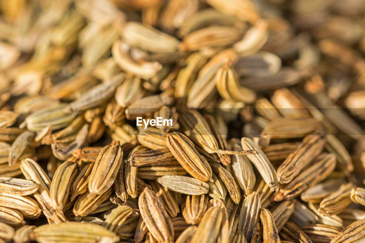 FULL FRAME SHOT OF RICE