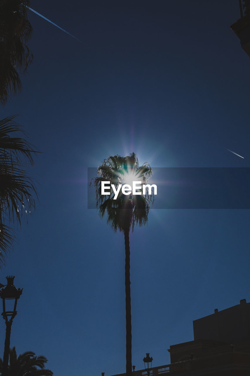 LOW ANGLE VIEW OF SILHOUETTE PALM TREES AGAINST CLEAR BLUE SKY