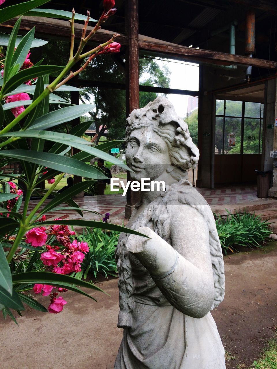 Close-up of damaged statue by plant against building