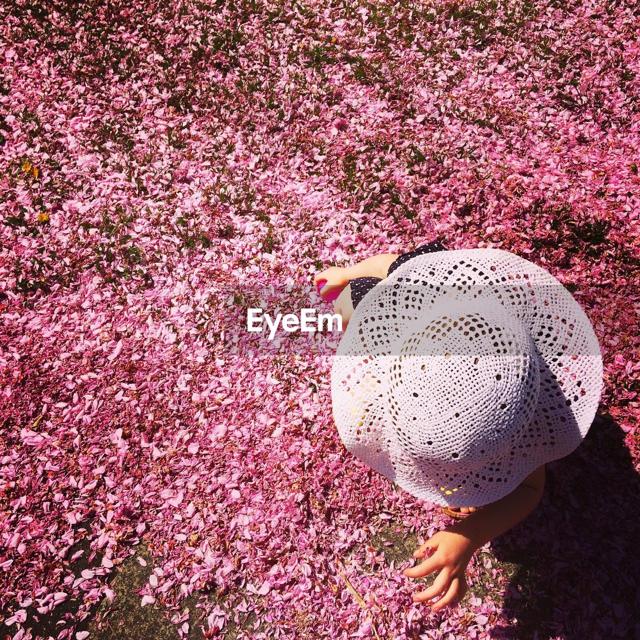 High angle view of girl wearing hat standing of pink flowers