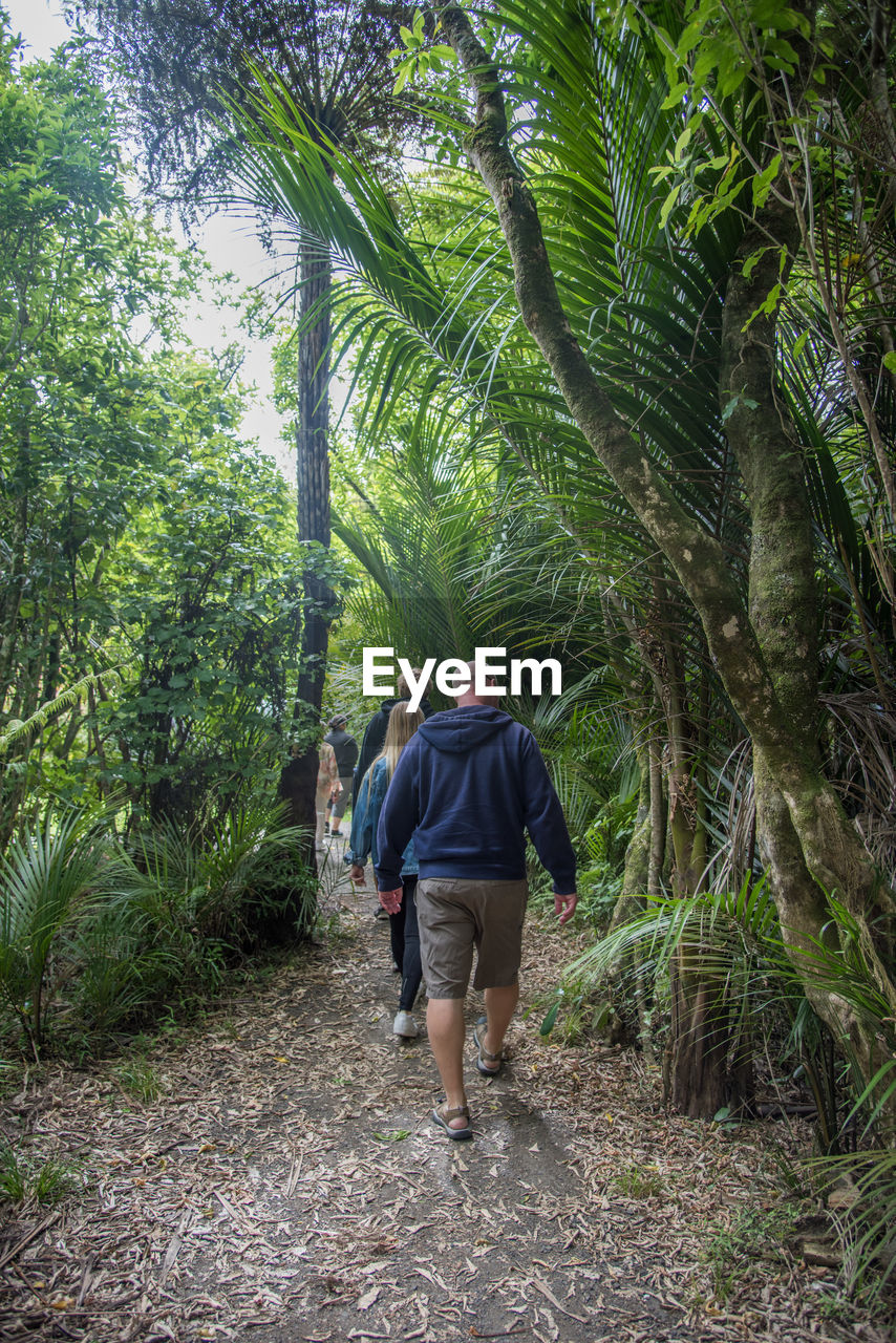 REAR VIEW OF WOMEN WALKING IN FOREST