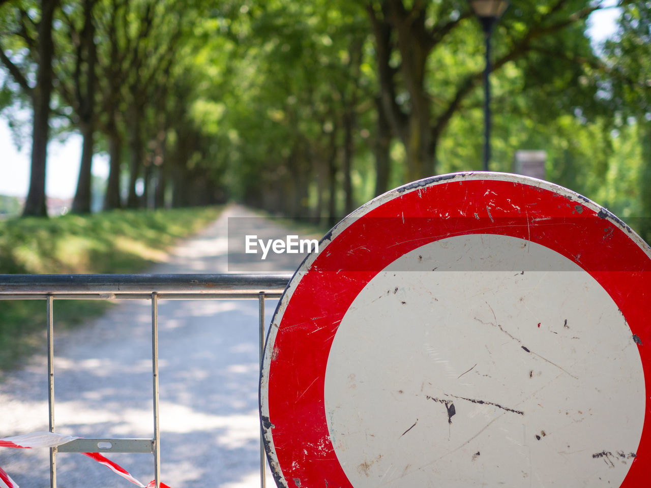 Close-up of road sign against trees