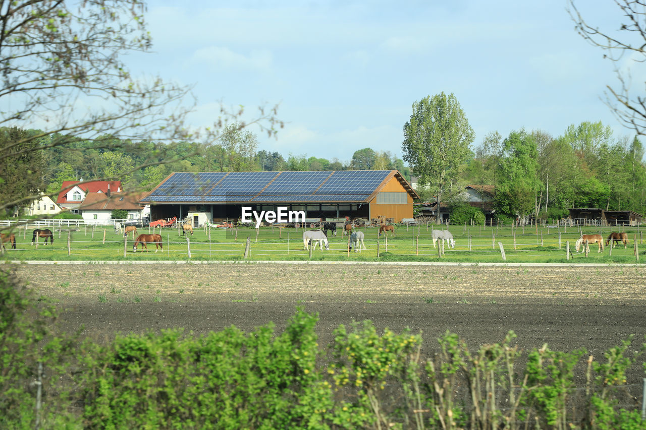 HOUSES ON FARM AGAINST SKY