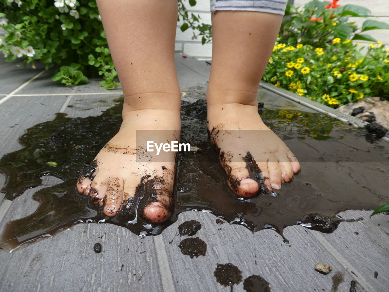 Low section of child standing on deck with in mud