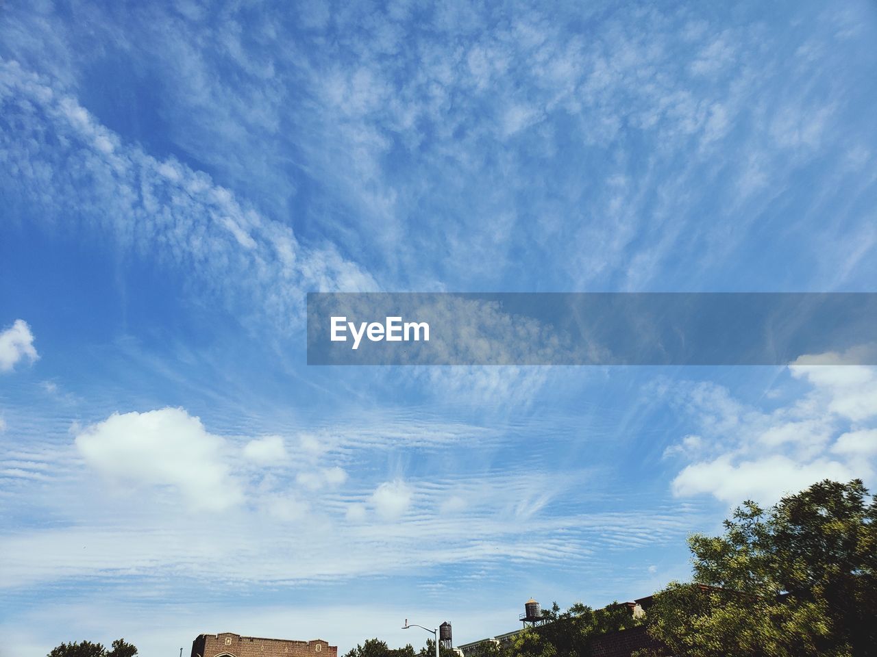 LOW ANGLE VIEW OF TREE AGAINST SKY