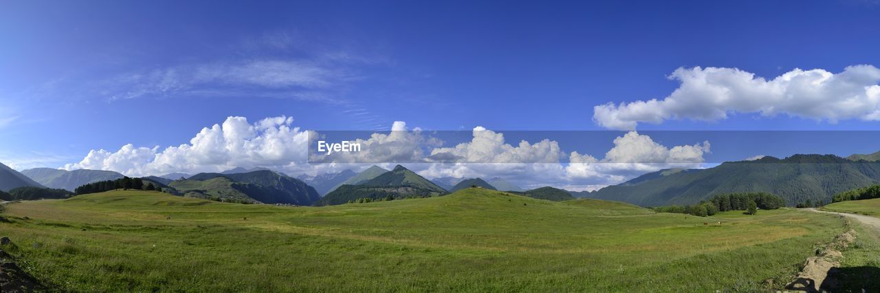 Panoramic view of grassy landscape against sky