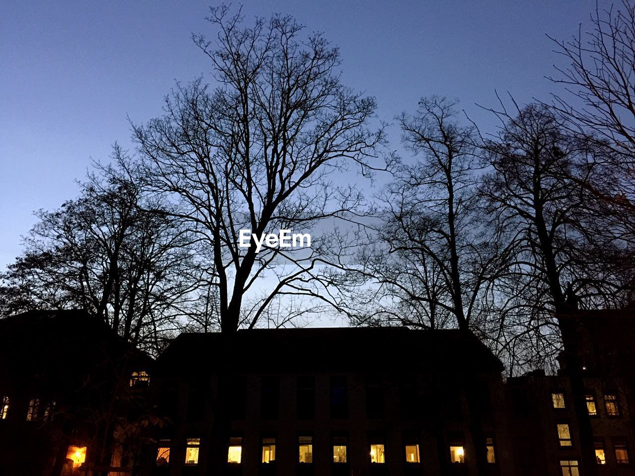 Low angle view of silhouette buildings and bare trees at dusk