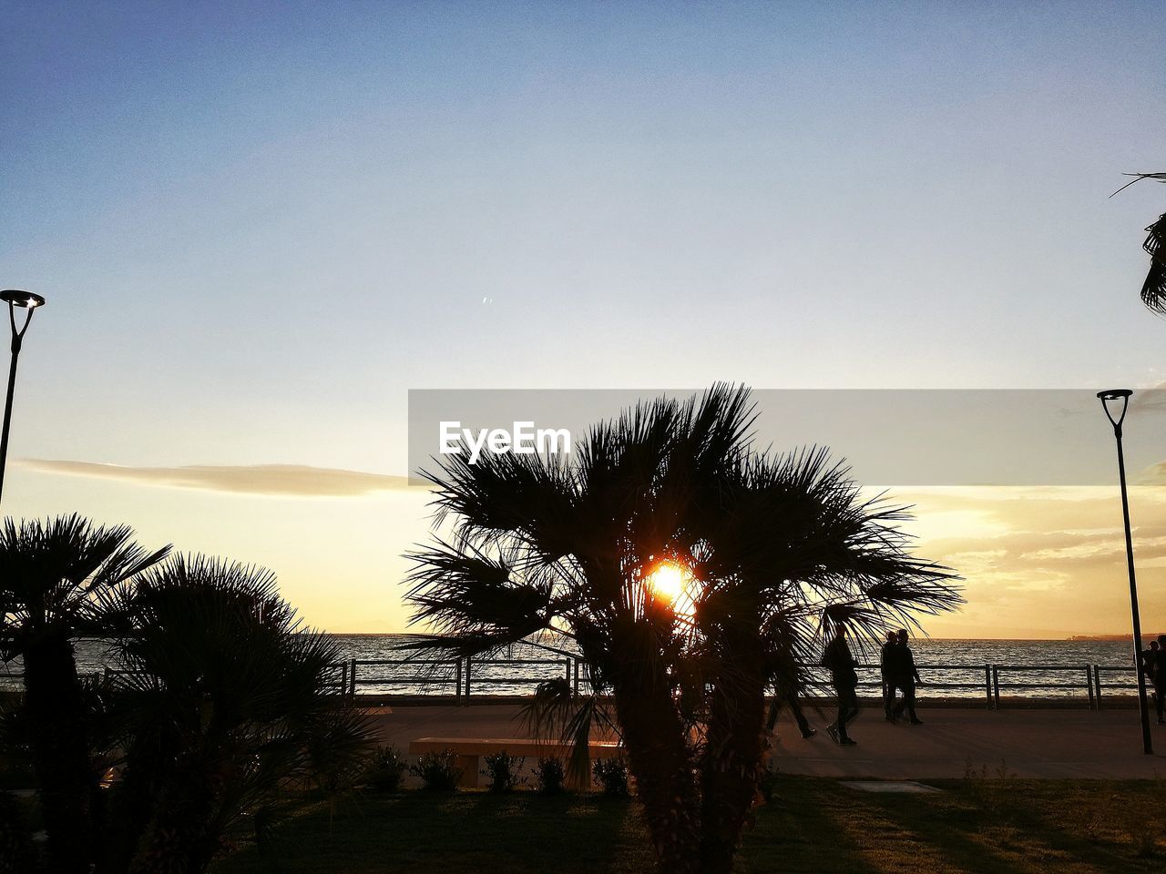 SILHOUETTE PALM TREES ON BEACH AGAINST CLEAR SKY