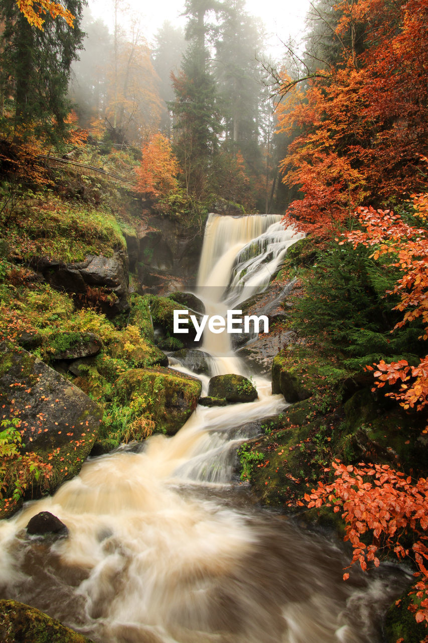 SCENIC VIEW OF WATERFALL IN FOREST