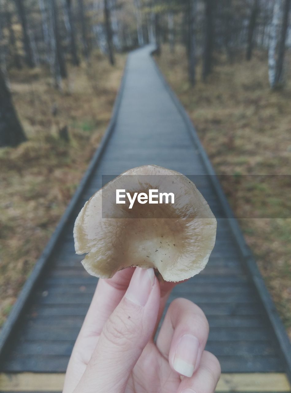 Cropped image of woman holding mushroom on wooden walkway amidst forest