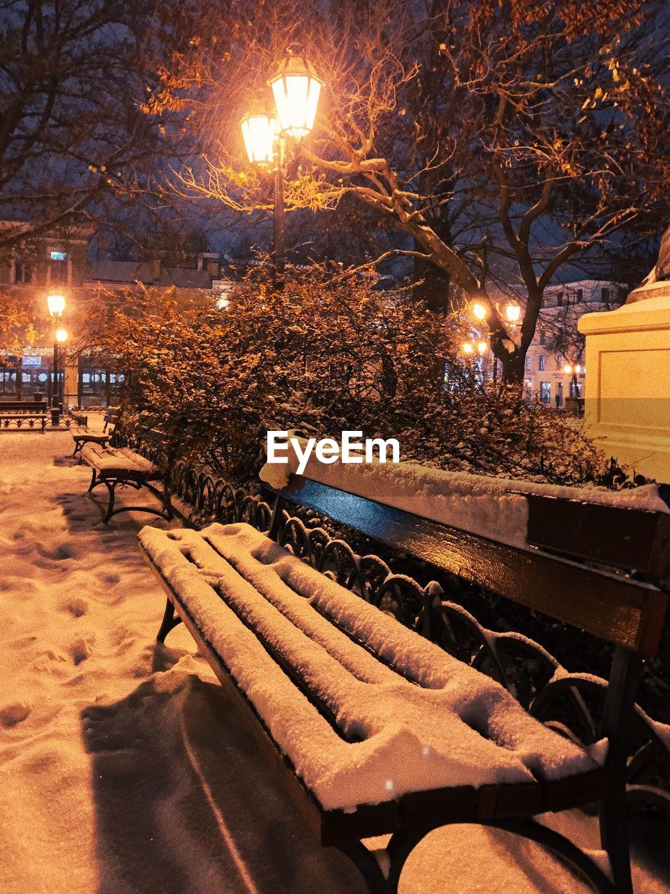 VIEW OF PARK BENCH AT NIGHT