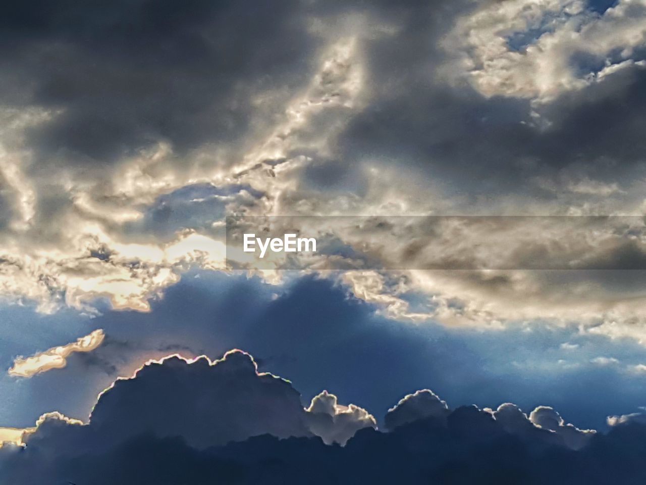 LOW ANGLE VIEW OF DRAMATIC SKY OVER SILHOUETTE OF TREES