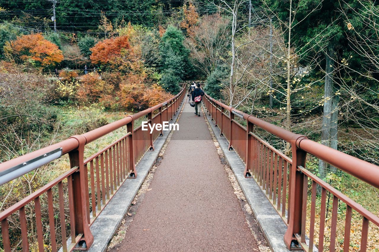 Footbridge over trees