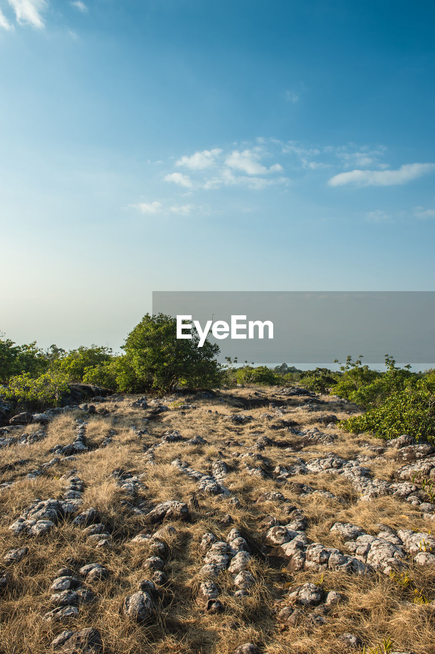 Stone field landscape with blue sky, phu hin rong kla national park.