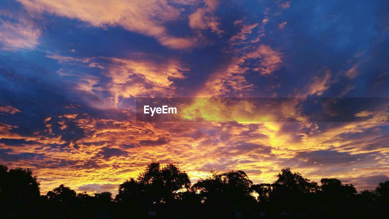 LOW ANGLE VIEW OF SILHOUETTE TREES AGAINST SKY