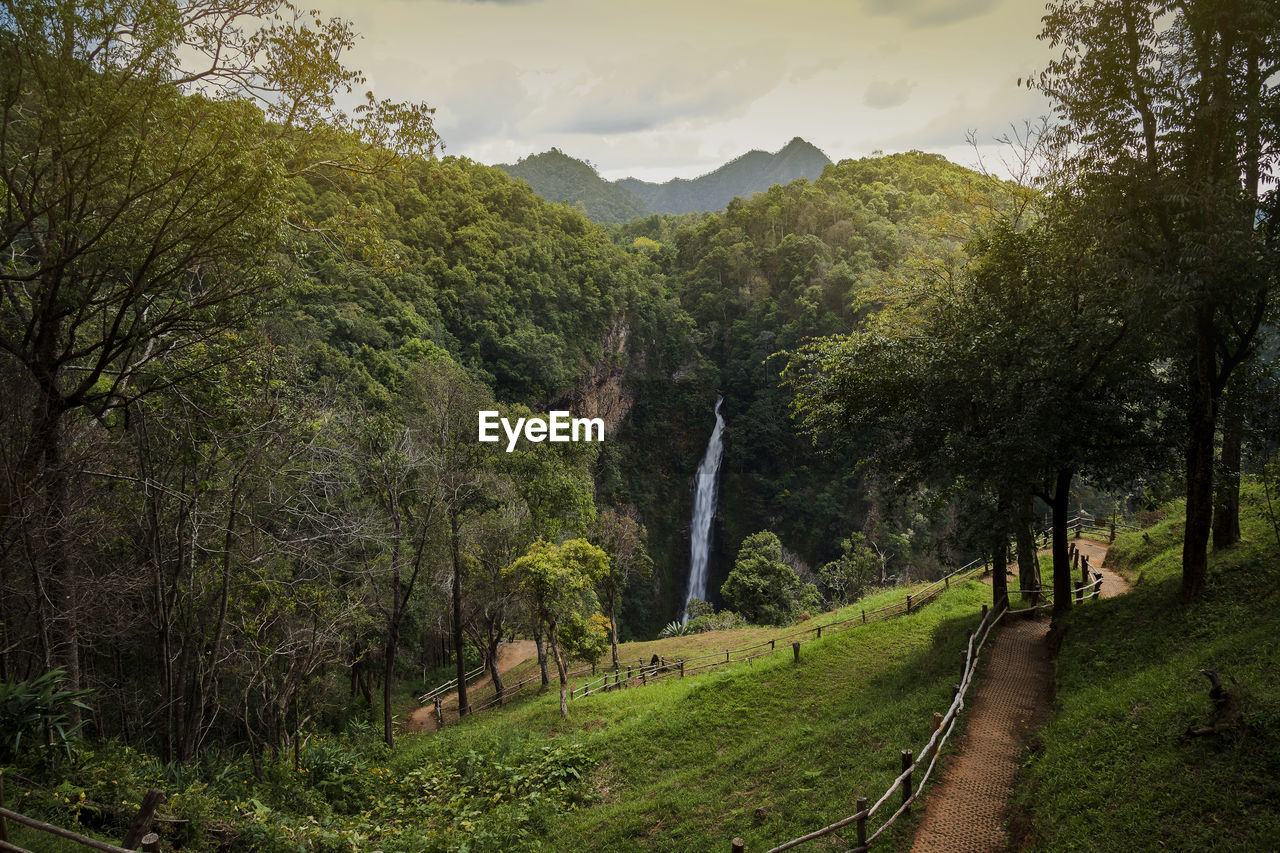 Scenic landscape of waterfall, beautiful water falling among fresh and natural forest and mountain