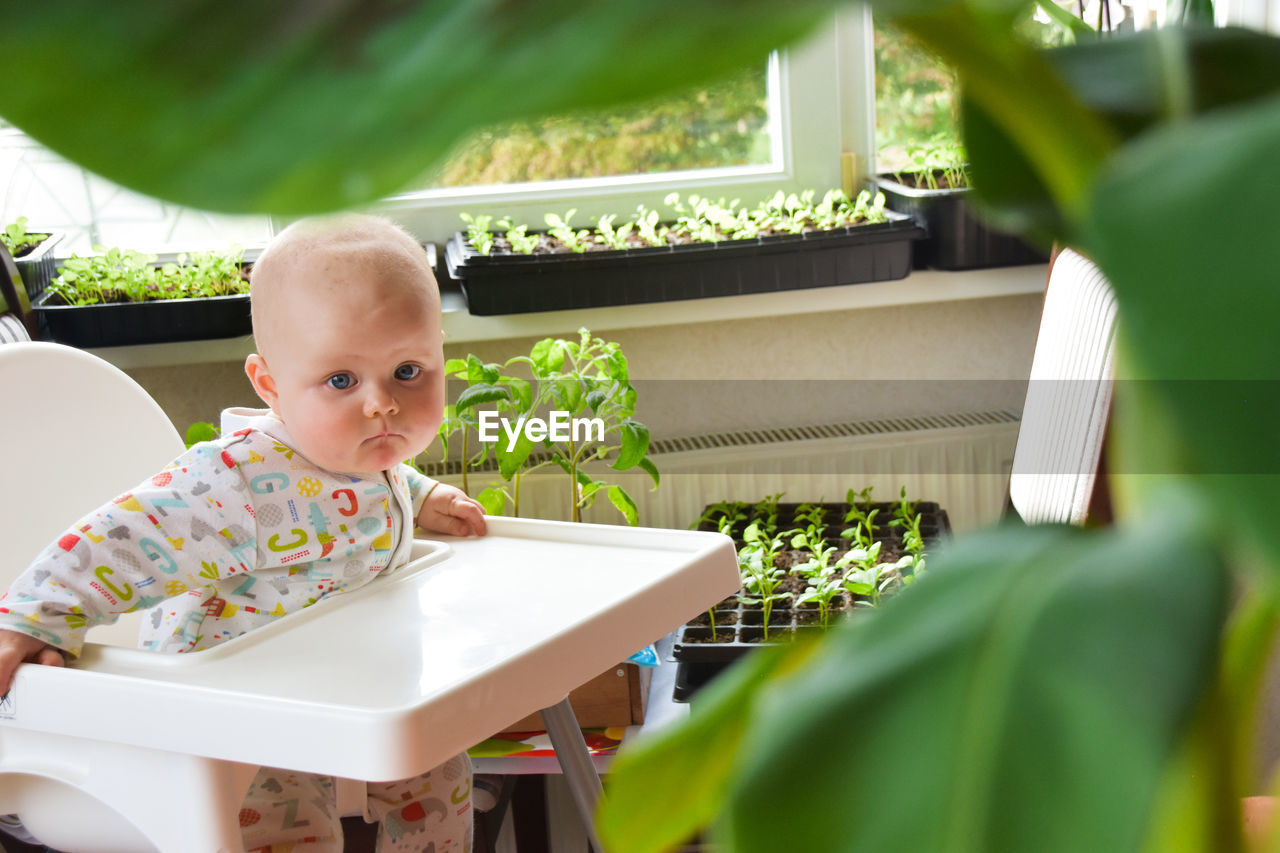 Portrait of cute baby sitting in s feeding chair in a room full of plants, springtime.