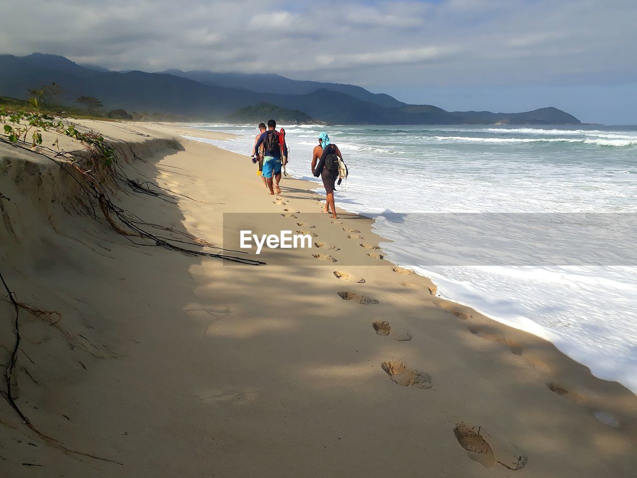 Rear view of friends walking on shore at beach