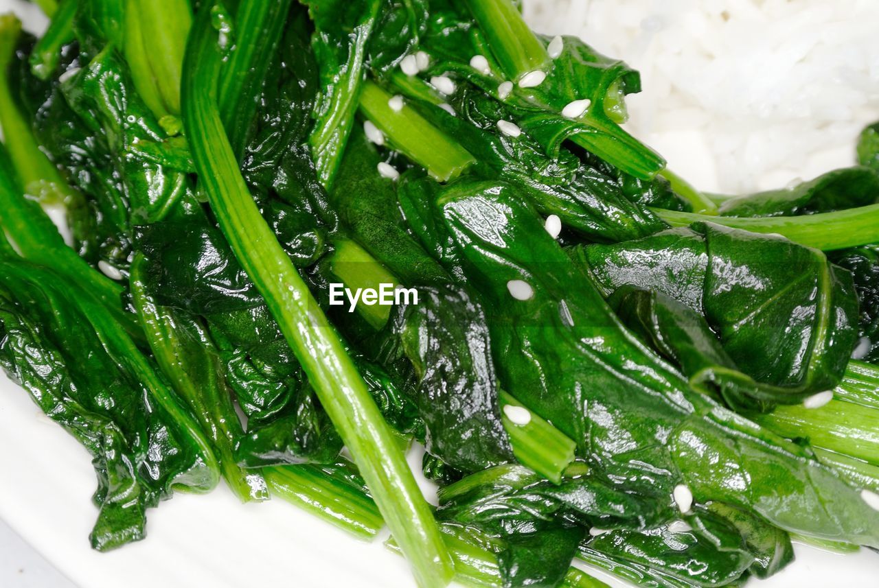 CLOSE-UP OF GREEN CHILI